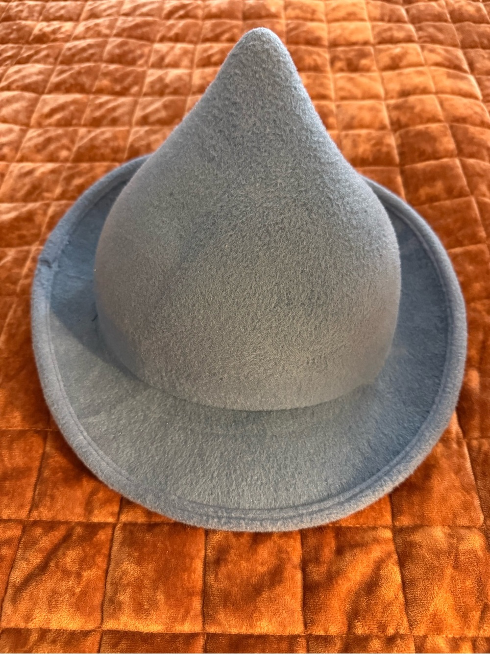 Harry Potter Fleur Delacour Beauxbatons Wizard Hat Blueelope